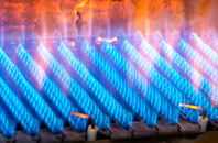 Ridgewell gas fired boilers